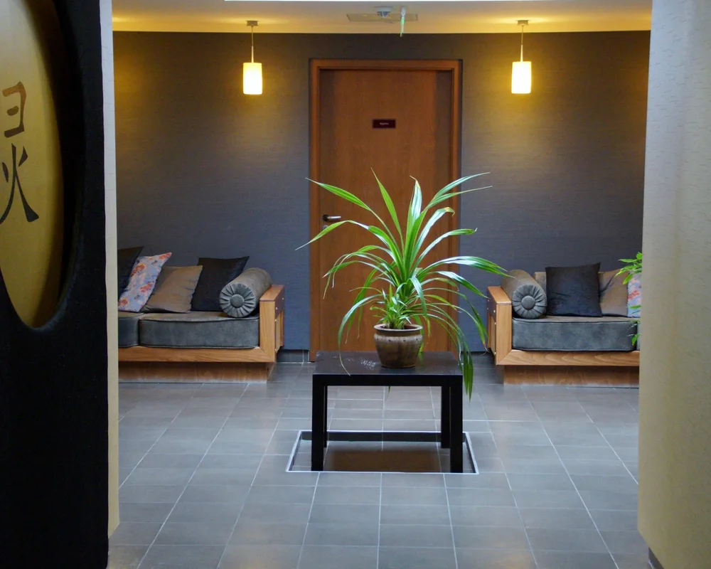 A quiet reception area with lounge seating and a green plant.